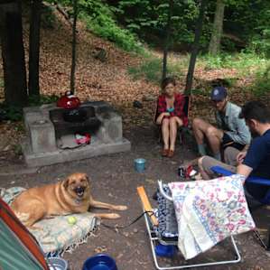 Dog friendly Woodland Valley!
