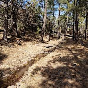 Nearby stream.