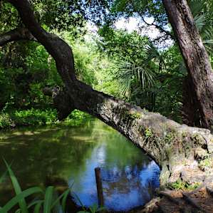 Wekiwa Springs Campground