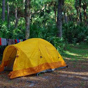 Wekiwa Springs Campground