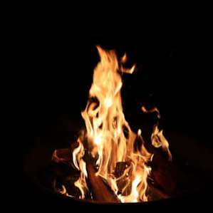 Paynes Prairie Campground