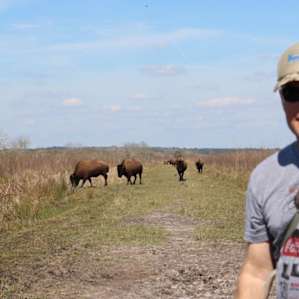 Paynes Prairie Campground
