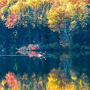 Autumn the perfect time to camp here - cold, but so worth it.