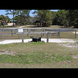 Horse Trough
