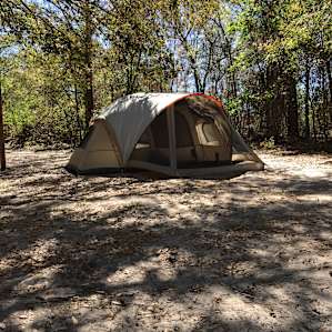 Large shady camping spot. Great if you have horses, but very close to suburbia. Houses were 50 yards away.