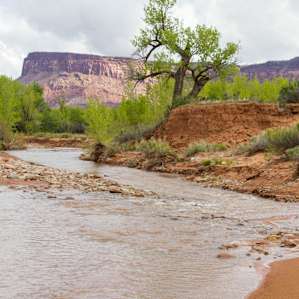 There's also a small river right around the campgrounds. It was approximately 100 ft from our campsite. A nice way to cool off with the Utah heat.