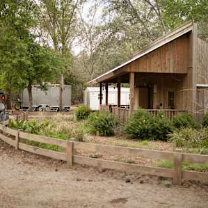 cabin lodging