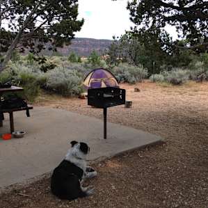 Coral Pink Sand Dunes Campground