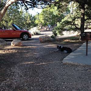Coral Pink Sand Dunes Campground