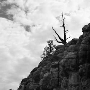 View from the trail in the canyon looking up.