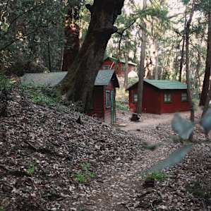 Guest Cabins Historic Sturtevant Camp Ca 10 Hipcamper Reviews And 42 Photos
