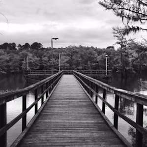 One of the fishing piers inside the park, stays lit until 10pm.
