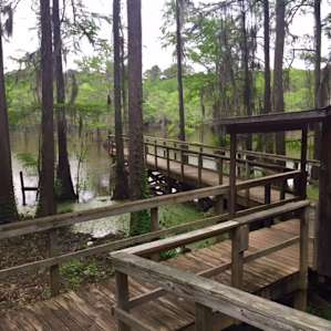 Canoe rentals found here, get your key from the park HQ.