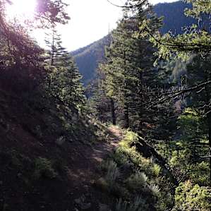 Trails
