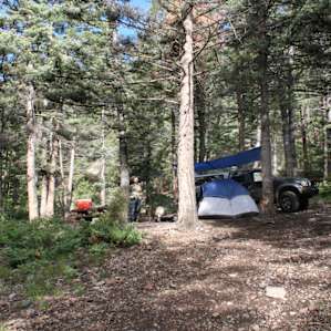 Campsite