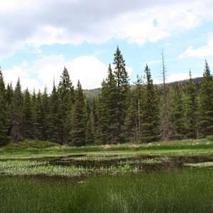 A short hike and we happened upon this lake.