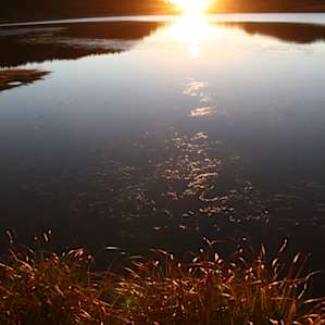Sunrise.