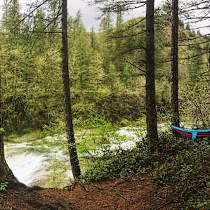Naturally the first thing we did was set up the hammock.