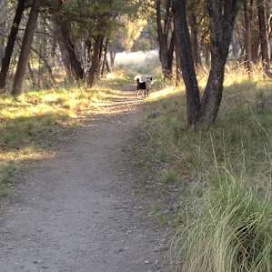Early morning hike to Faraway Ranch