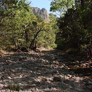 Cave Creek, 15 feet from our tent.
