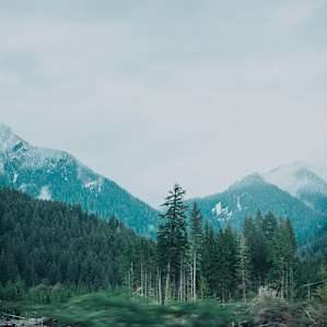 Driving views