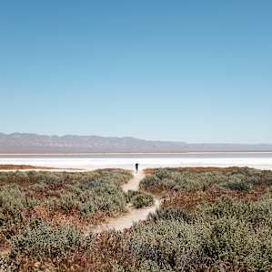Make sure to visit Soda Lake in Carrizo Plain National Monument