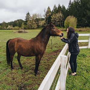 The horses are super friendly and instantly started walking towards the fence when we approached
