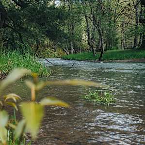 Come summertime, this will be a prime swimming spot. Come in the spring to hunt for agates and wildflowers.