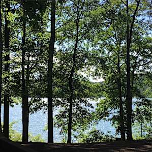 When you wake up to views like this... life is good.