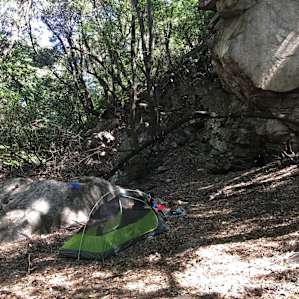 Spruce Grove Trail Camp