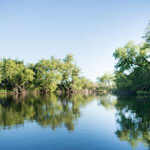 The private pond on the property has crystal clear water and is perfect for fishing!