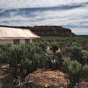 BaseCamp 37° - Powell Tent