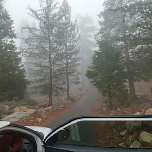 Insane Fog!