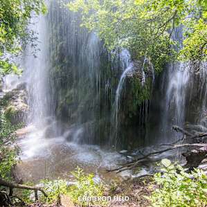 Colorado Bend State Park Campground