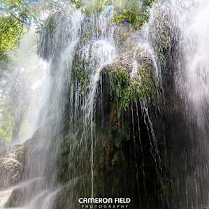 Colorado Bend State Park Campground