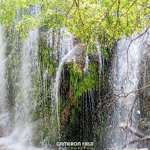 Colorado Bend State Park Campground