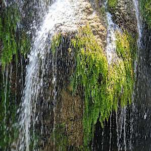 Colorado Bend State Park Campground