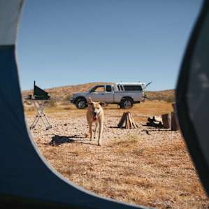 A shot of camp from inside the tent