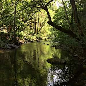 #1Glamping Safari Tent on Creek