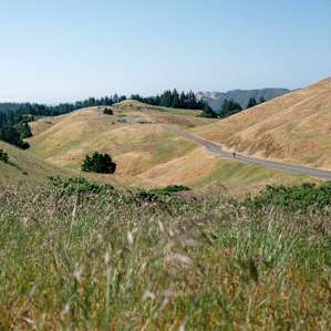 We took the drive from Bolinas up to Mount Tamalpais via Fairfax-Bolinas road. Do it!