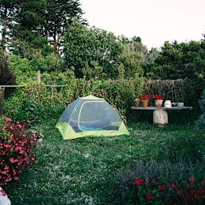 Dusk in the garden. This is the master-suite view