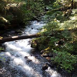Lower Falls Group Camp