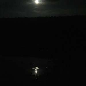 View from our site at nightfall