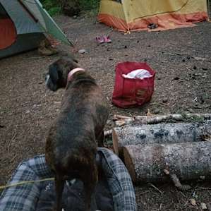 Lower Falls Campground