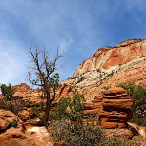 East side of Zion NP.