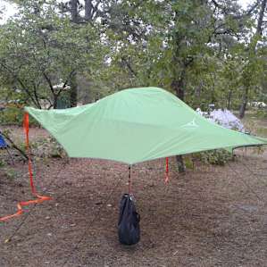 tree tent camping