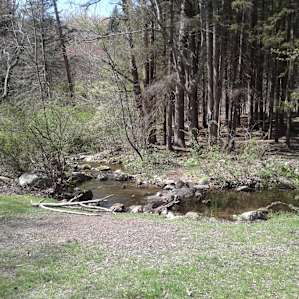 view from front door