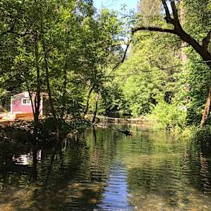 #4 Canvas Tent Creekside