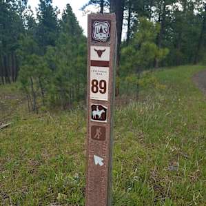 Sheridan Lake Campground