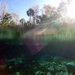 Under / over. Beautiful tropical FL.